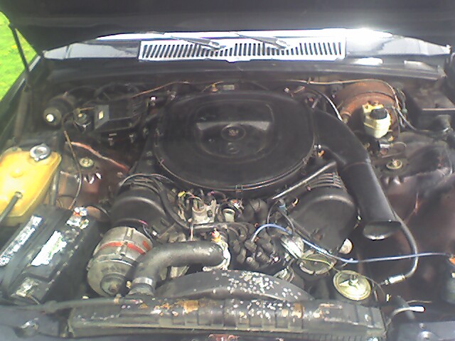 W126 560 SEL Airbox on a M-100